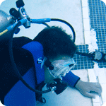 Certified diver underwater
